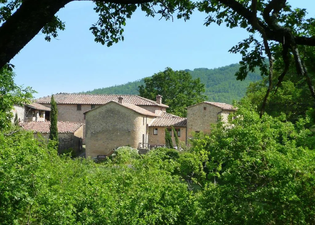 Agriturismo Colli Di Travale Montieri Itália